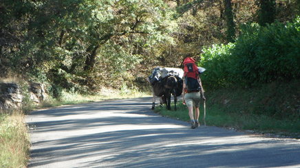 Pilger mit einem Esel